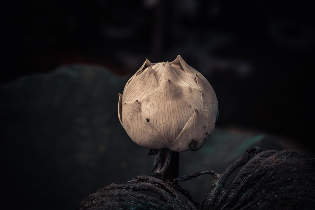 Folge deinen inneren Impulsen zurück zu dir selbst