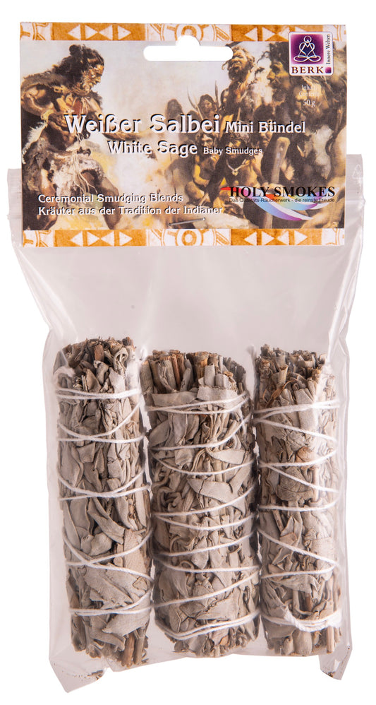 Weißer Salbei mini - 3er Pack